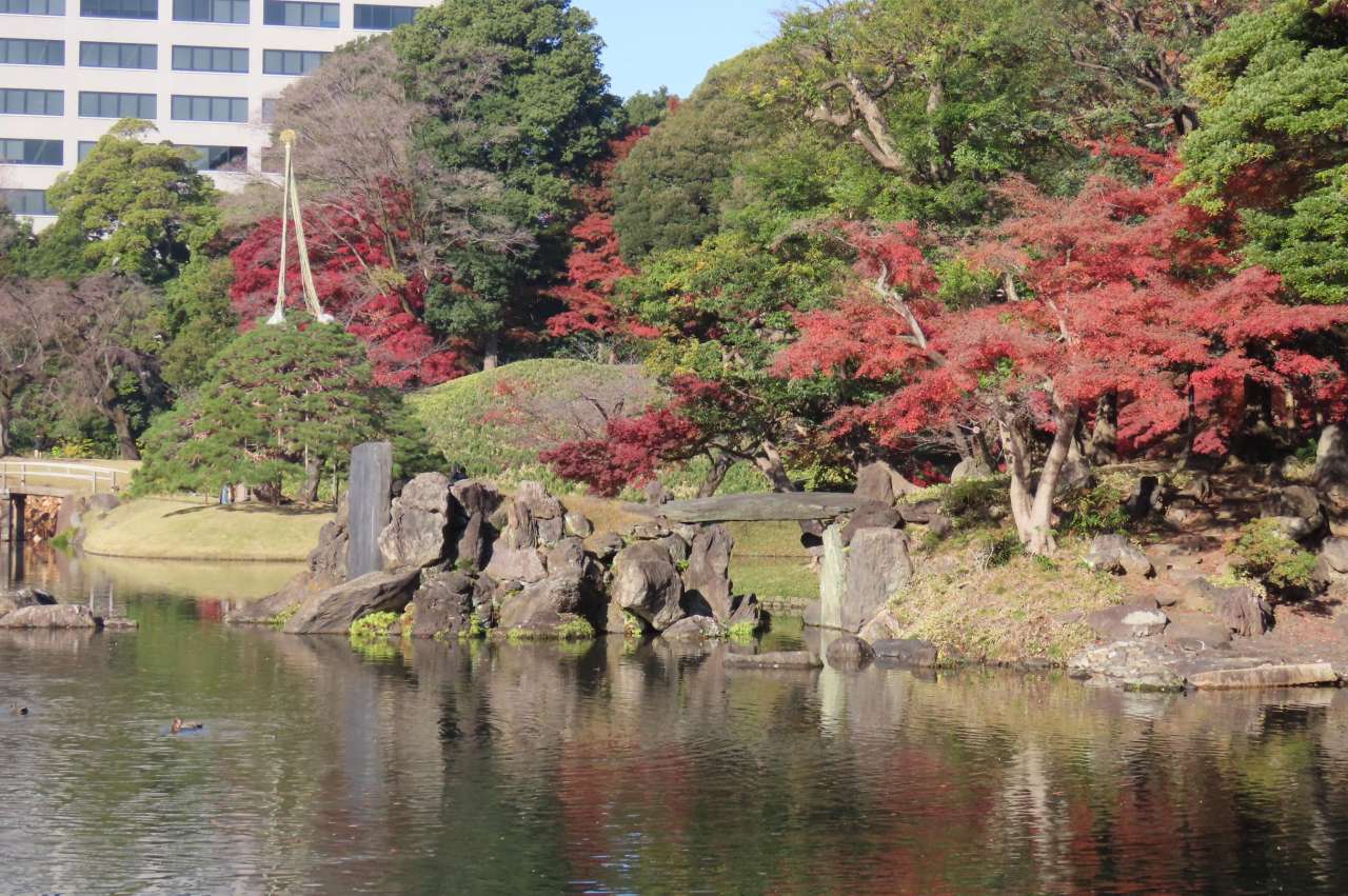 小石川後楽園251128紅葉(蓬莱島)
