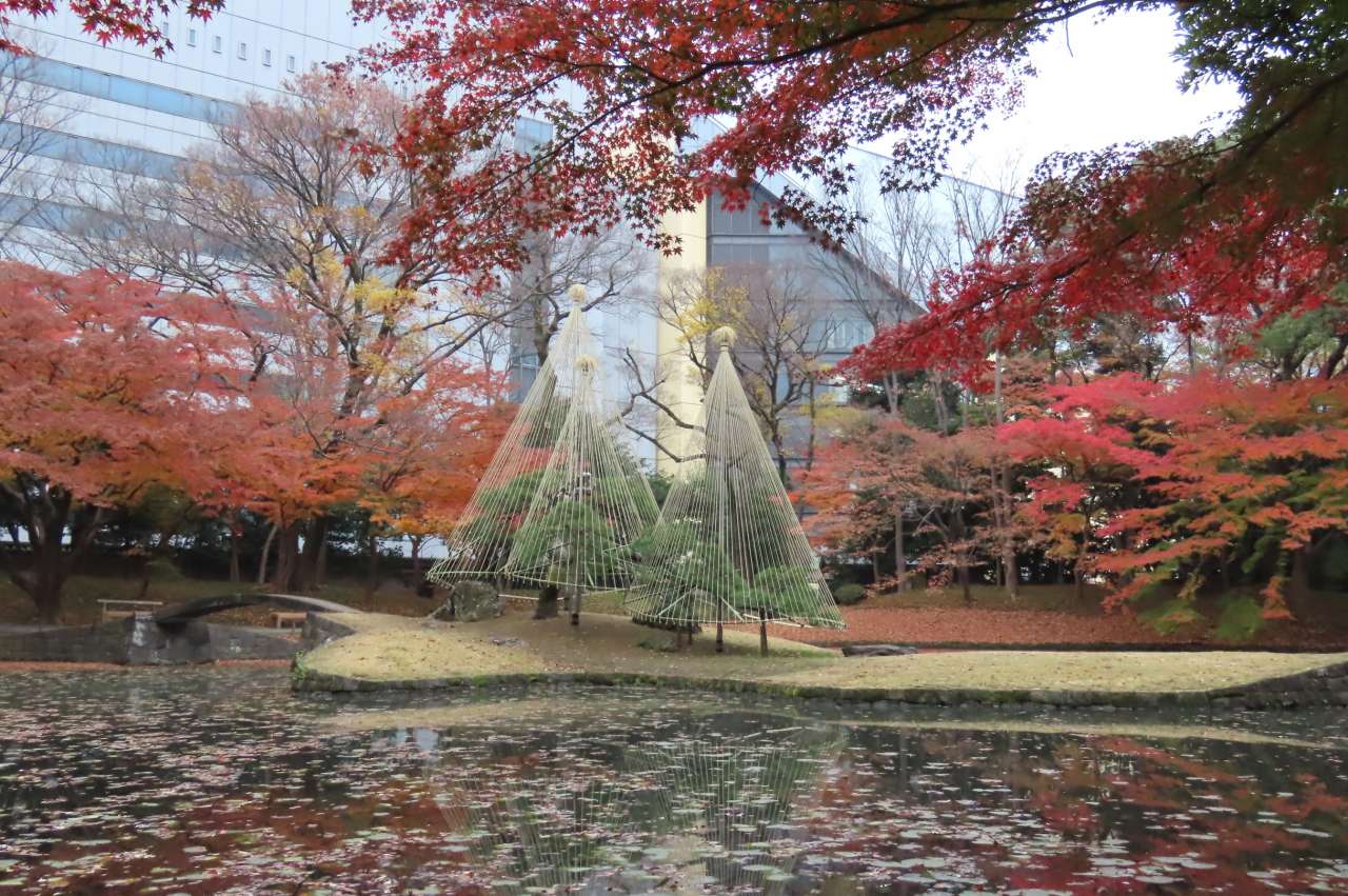 小石川後楽園251203紅葉(内庭)