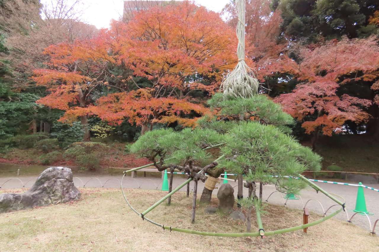 小石川後楽園251211 (9)