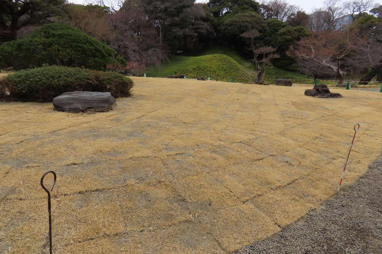 小石川後楽園260316 (1)