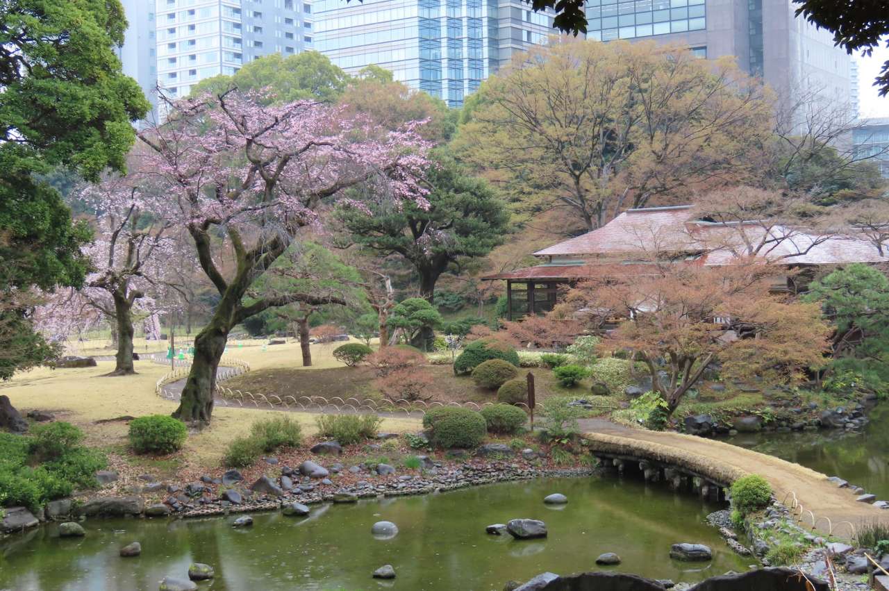小石川後楽園260323琉球山からの眺め (1)