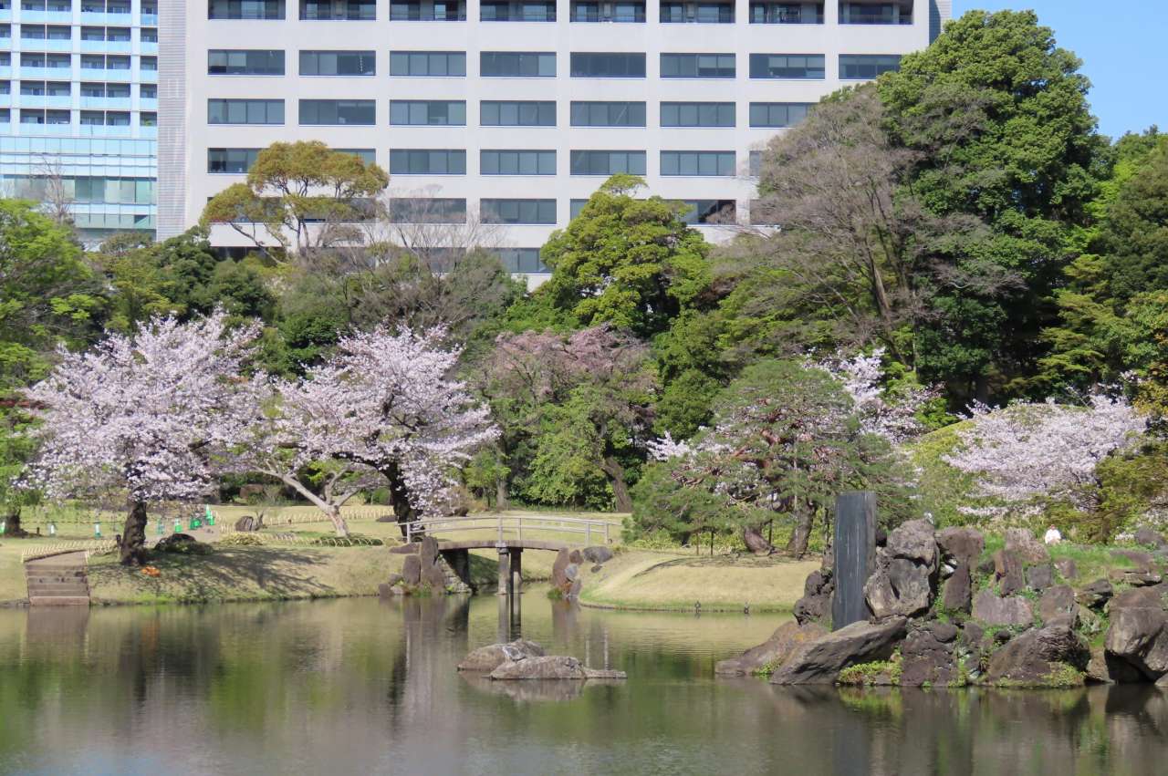 小石川後楽園260403 (3)