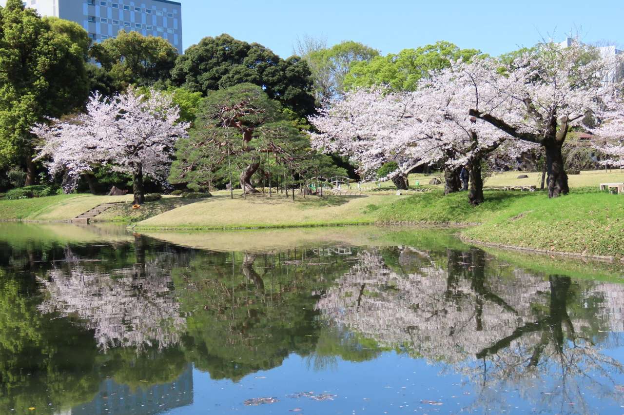 小石川後楽園260403 (5)
