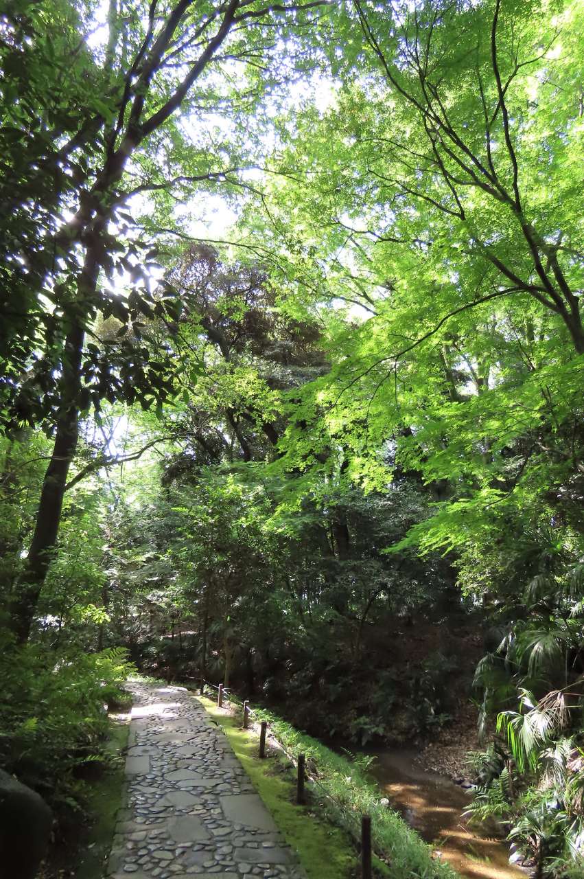 小石川後楽園260619 (37)