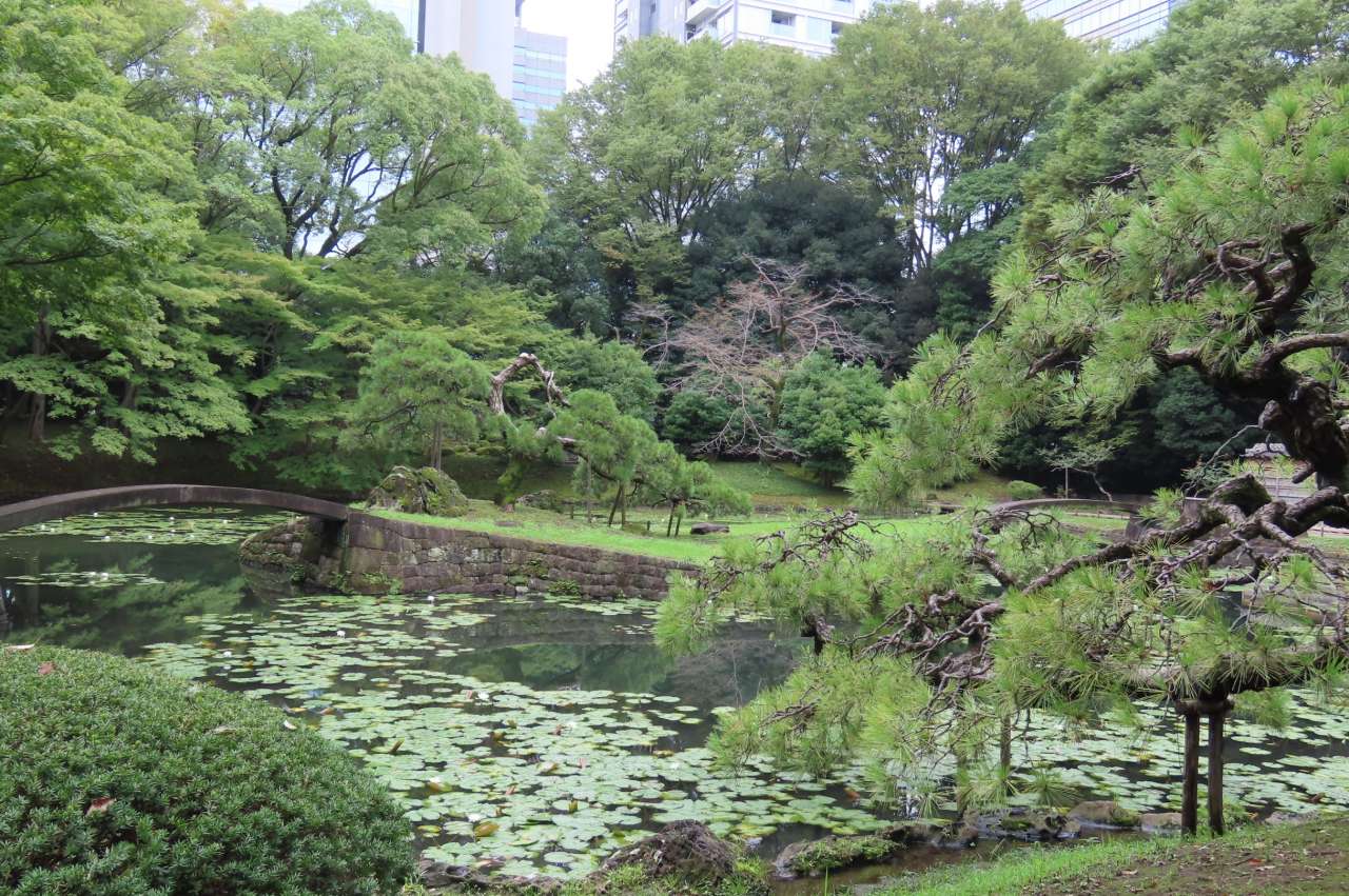 小石川後楽園260913内庭1