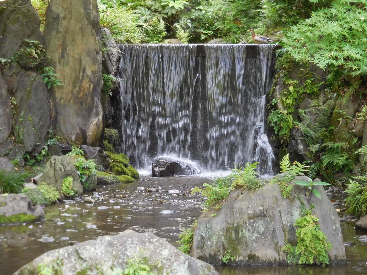 白糸の滝