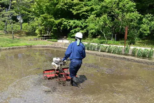 小石川後楽園210425代搔き (4)_05