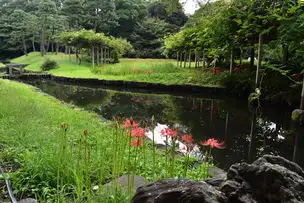 小石川後楽園210915ヒガンバナ (5)_01