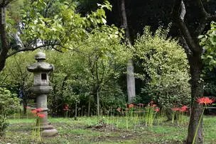 小石川後楽園210915ヒガンバナ (26)_03
