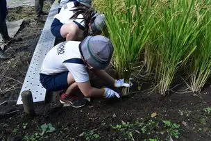 小石川後楽園211008 (54)_04