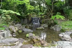 小石川後楽園 白糸の滝 (19)_02