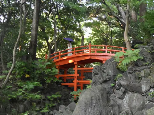 小石川後楽園200815和傘と西山所長、通天橋 (3) _05