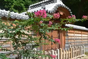 小石川後楽園220812サルスベリ、唐門_01