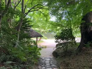 202208224 虫の声_03