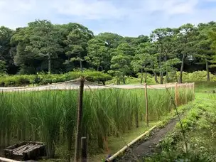 202208-26 稲田_03