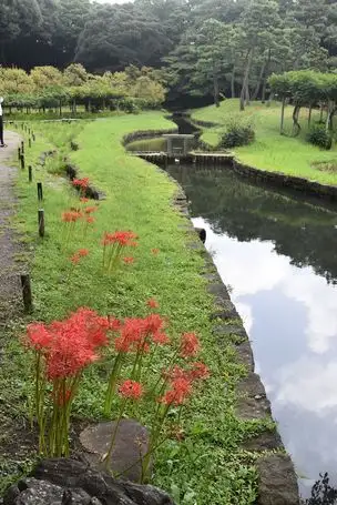 小石川後楽園220919ヒガンバナ (9)_03