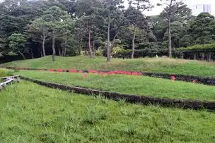 小石川後楽園220928 (11)_02