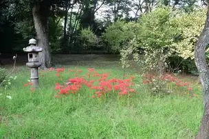 小石川後楽園220928 (16)_04