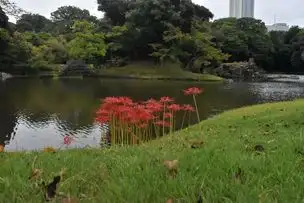 小石川後楽園220921ヒガンバナ (2)_01
