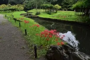 小石川後楽園220921ヒガンバナ (8)_02