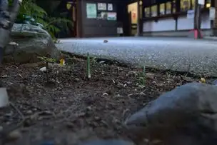 小石川後楽園220928 (22)_03