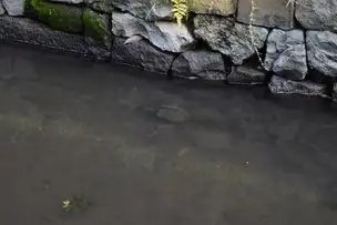小石川後楽園220928 (19)_04