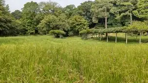 小石川後楽園221003稲刈り (51)_02