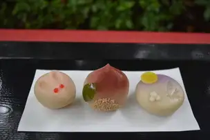 小石川後楽園鴻雁来ホトトギス_04
