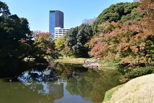 小石川後楽園221111紅葉 (大泉水) (2)_01