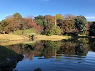 紅葉情報 11月17日現在_02