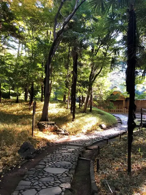 紅葉情報 11月17日現在_05