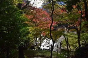 小石川後楽園221121 (13)_03