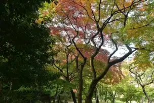 小石川後楽園221121 (20)_04