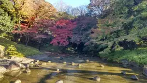 小石川後楽園221124紅葉 (5)_02
