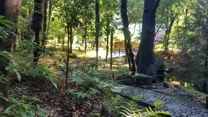 小石川後楽園221124紅葉 (18)_04