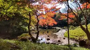 小石川後楽園 2022-11-25 (7)_01