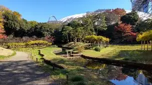 小石川後楽園 2022-11-25 (11)_02