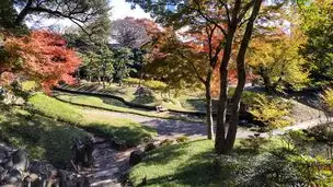 小石川後楽園 2022-11-25 (12)_03
