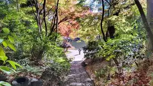 小石川後楽園 2022-11-25 (13)_04