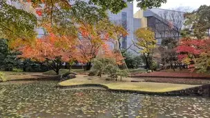 2022-11-30 紅葉 (11)_01