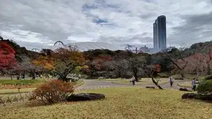 2022-11-30 紅葉 (18)_03