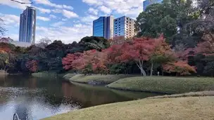 2022-12-02 紅葉 (3)_01