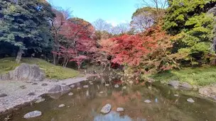2022-12-02 紅葉 (6)_03