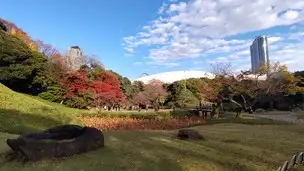 2022-12-02 紅葉 (7)_04