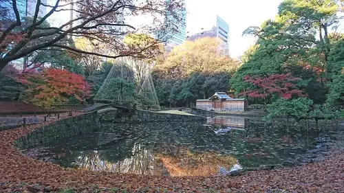 紅葉情報 12月7日現在 (一部見ごろ)_05