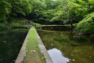 小石川後楽園_5月（渡月橋） (1)_02
