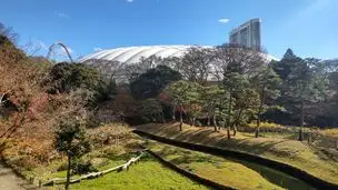梅開花状況 (12月18日)_02