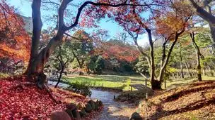 梅開花状況 (12月18日)_03