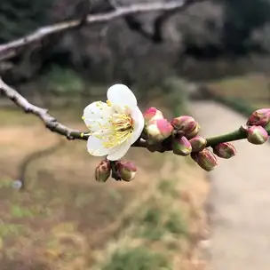 B06 冬至_01