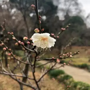 B05 不明_02